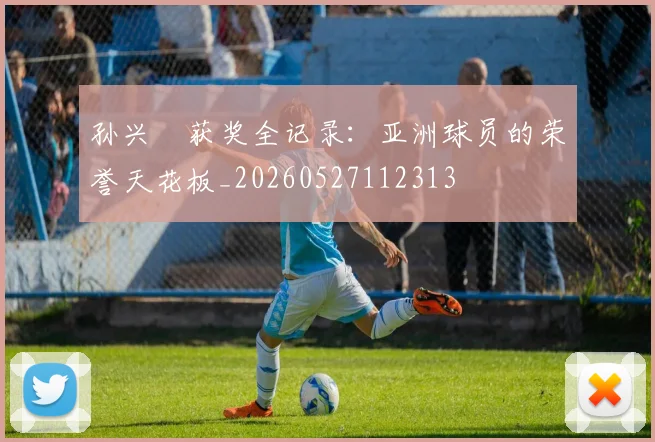 孙兴慜获奖全记录：亚洲球员的荣誉天花板_20260527112313