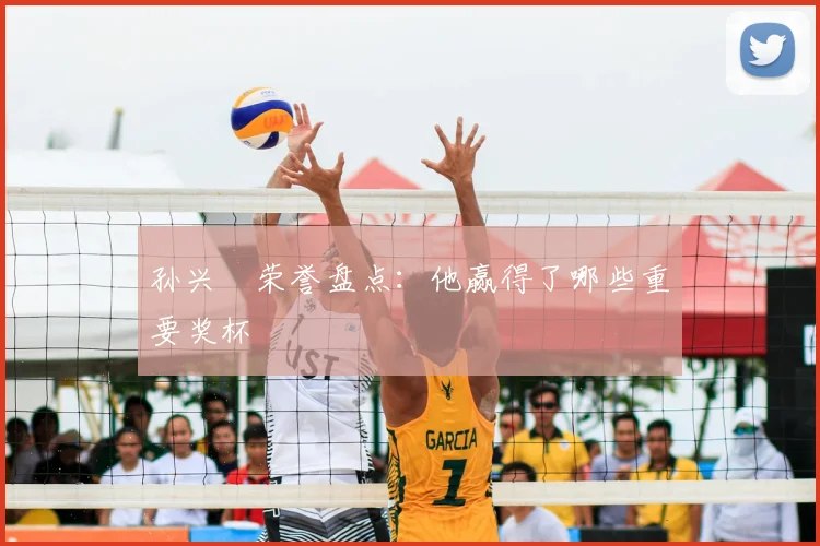 孙兴慜荣誉盘点：他赢得了哪些重要奖杯